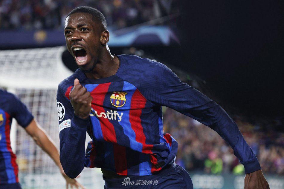 球场上如鱼 球场上如鱼